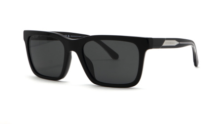 Зображення 1: Сонцезахисні окуляри EMPORIO ARMANI EA 4262U 5017/87 57