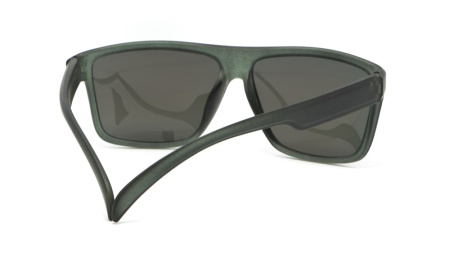 Зображення 4: Сонцезахисні окуляри BASIC 164 B Pol 60