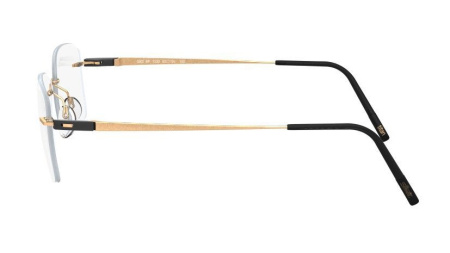 Зображення 4: Оправа для окулярів Silhouette 5502 7530