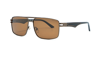 Сонцезахисні окуляри DESPADA 2369 04 61