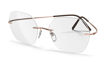 Оправа для окулярів Silhouette 5599 3530 17/145