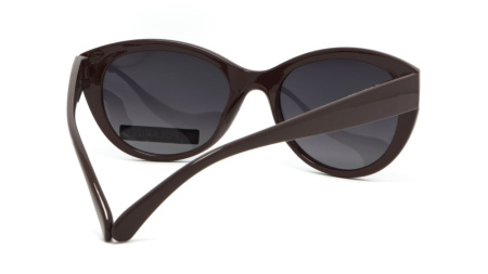 Зображення 2: Сонцезахисні окуляри BASIC 230 A Pol