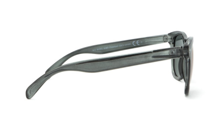 Зображення 4: Сонцезахисні окуляри BASIC 090 B Pol