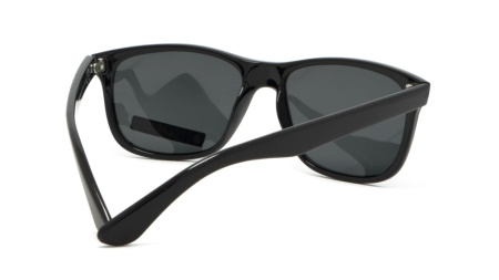 Зображення 5: Сонцезахисні окуляри ICONS 8100 Pol