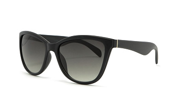 Сонцезахисні окуляри ICONS 2250 B