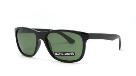 Зображення 1: Сонцезахисні окуляри ICONS 8100 A Pol