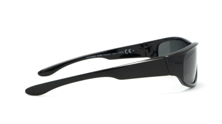 Зображення 4: Сонцезахисні окуляри BASIC 170 A Pol