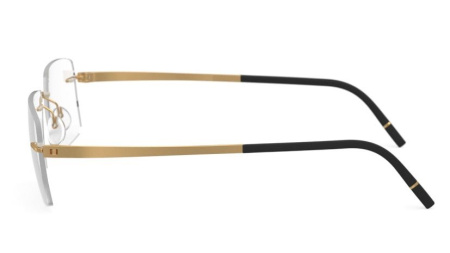 Зображення 4: Оправа для окулярів Silhouette 5529 7520