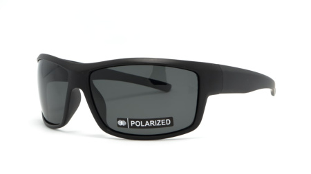 Зображення 1: Сонцезахисні окуляри BASIC 180 Pol 67