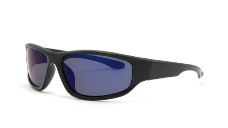 Зображення 1: Сонцезахисні окуляри BASIC 170 B Pol