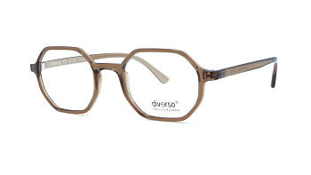 Оправа для окулярів DIVERSO DV1120 0049 47