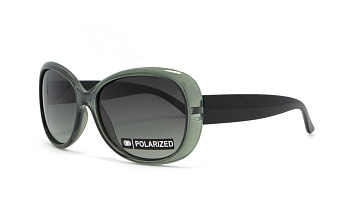 Сонцезахисні окуляри BASIC 290 B Pol