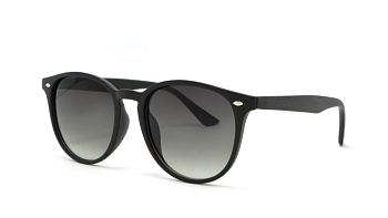 Сонцезахисні окуляри ICONS 2120