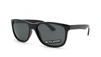 Сонцезахисні окуляри ICONS 8100 Pol