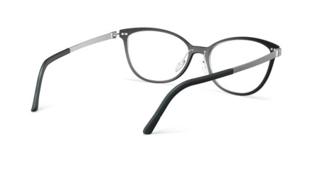 1600 9000 5 Зображення 5: Оправа для окулярів Silhouette 1600 9000 55