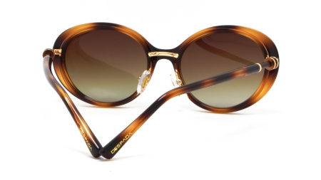 Зображення 4: Сонцезахисні окуляри DESPADA 2011 02 53