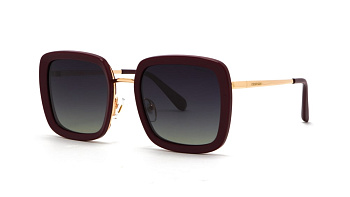 Сонцезахисні окуляри DESPADA 2019 04 52