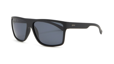 Зображення 1: Сонцезахисні окуляри StyleMark L2510 C 58