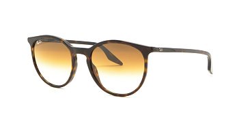 Сонцезахисні окуляри Ray Ban RB 2204 902/51 54 Highstreet