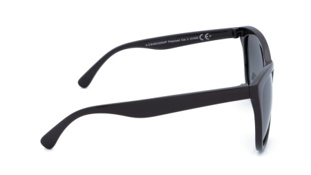 Зображення 4: Сонцезахисні окуляри BASIC 205 A Pol