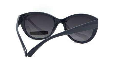 Зображення 5: Сонцезахисні окуляри BASIC 230 B Pol 54