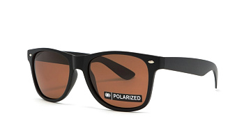 Сонцезахисні окуляри BASIC 060 B Pol 54