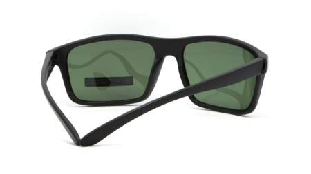 Зображення 5: Сонцезахисні окуляри BASIC 184 B Pol 60