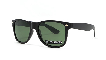 Сонцезахисні окуляри BASIC 060 A Pol 54